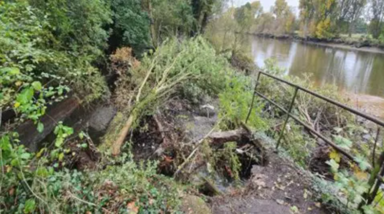 Kew Gardens riverside walking path to reopen