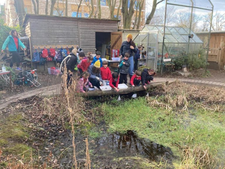 Islington School Seeks Support to Save Wildlife Pond for Future Generations