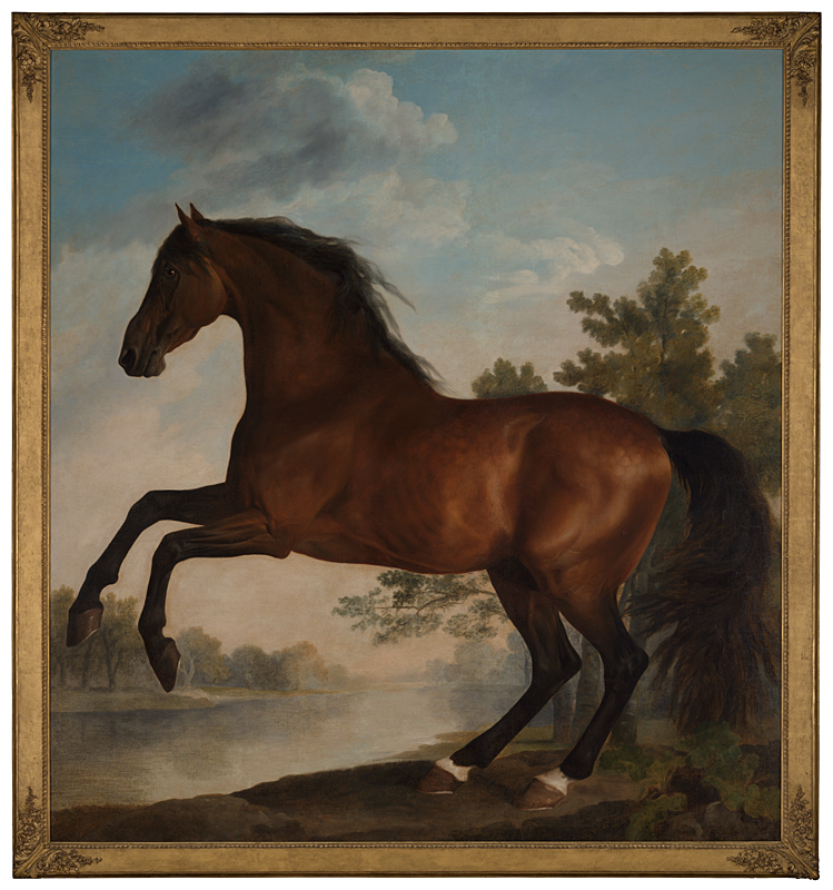 George Stubbs’ Scrub: A rare life-size Horse Portrait Takes Centre Stage at The National Gallery
