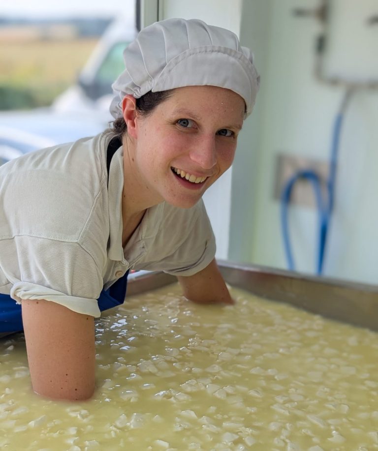 University Of Reading Study Reveals Artisan Cheeses Could Boost Gut Health