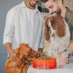 Called “delusional” by Dragons’ Den – Omni Pet receives £11m in investment