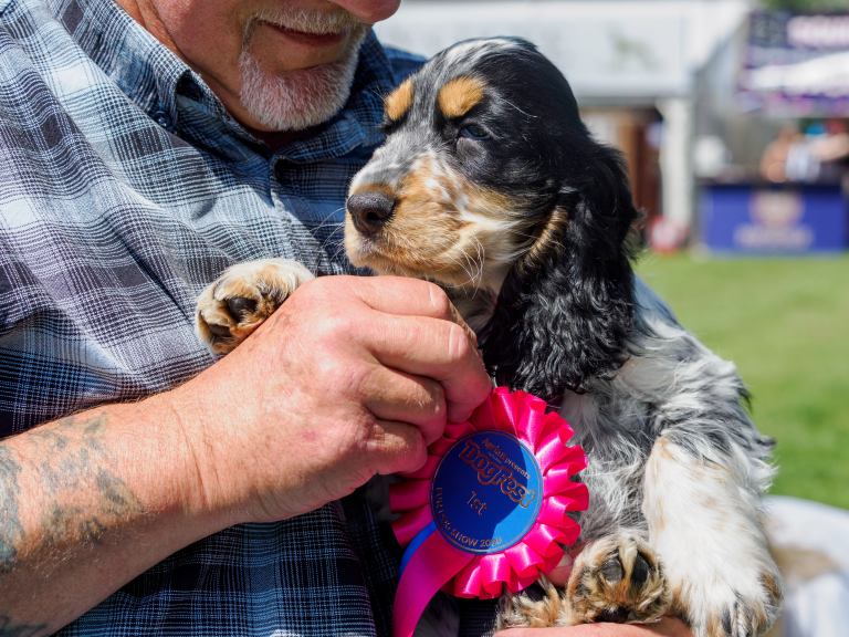 Westgate Oxford and DogFest to Host Mutt Strut Event