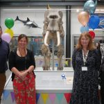 Norman the Elephant Turns 175 at University of Reading’s Cole Museum