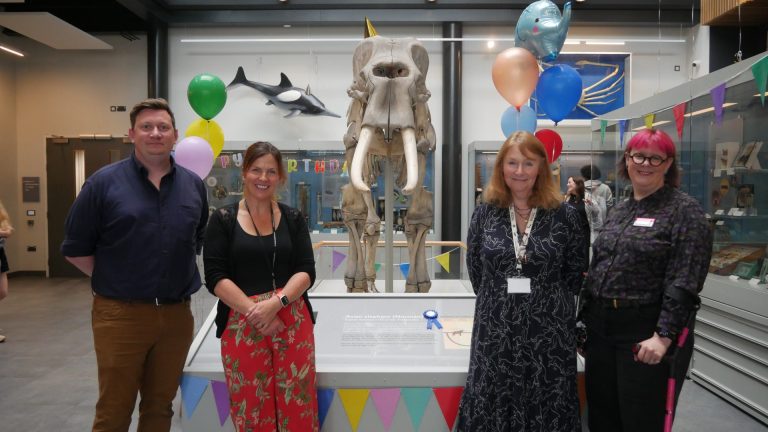 Norman the Elephant Turns 175 at University of Reading’s Cole Museum