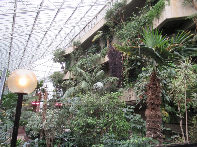 Barbican Conservatory: Can A Brutalist Icon Be Renewed Without Losing Its Identity?
