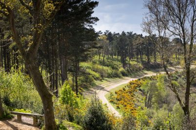 1333088-Hindhead-Commons-and-the-Devils-Punch-Bowl-National-Trust-Images-Chris-Lacey_cropped-scaled.jpg