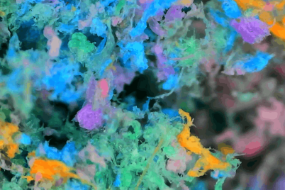 20260528_News_Multicoloured_Microplastics_Under_Microscope-1.png