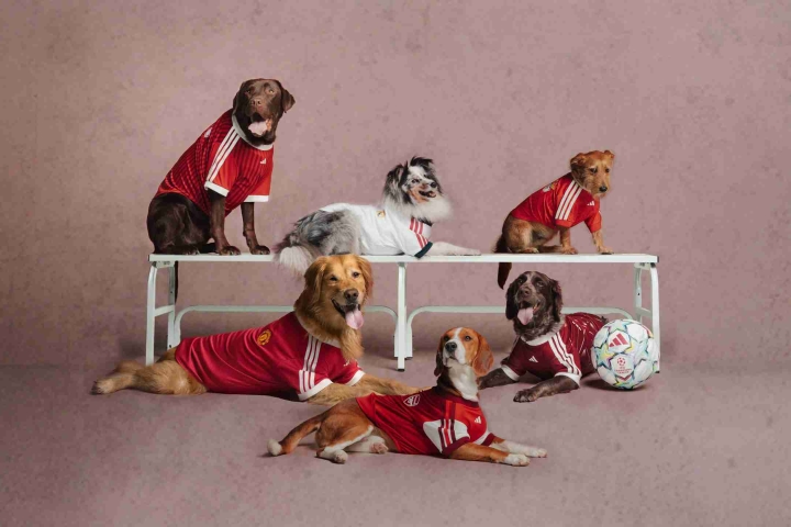 ADIDAS-PET-RANGE_GROUP_EUROPE-1-scaled-1.jpg