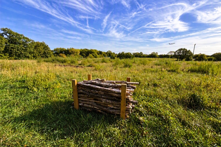Habitat-area-.jpg