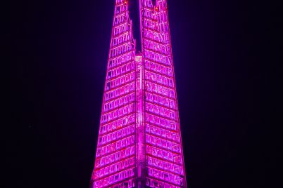 SLLN_PinkShard1_2025.jpg