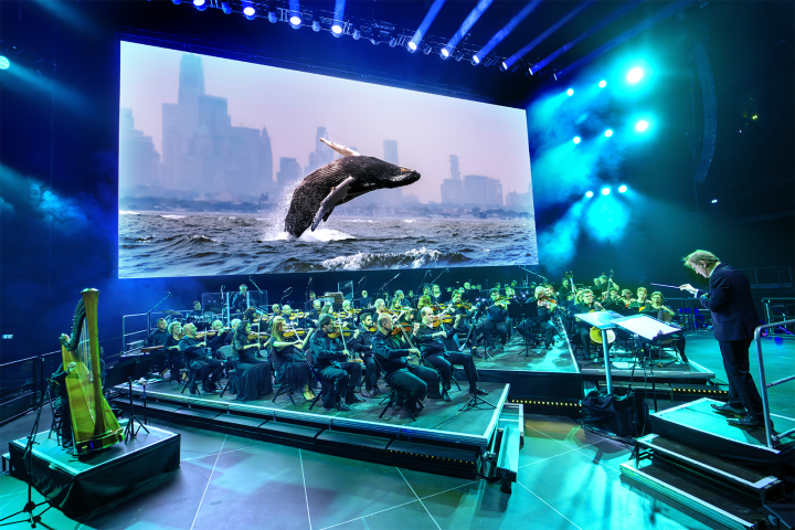 Whale-image-BBC-Studios-1.png